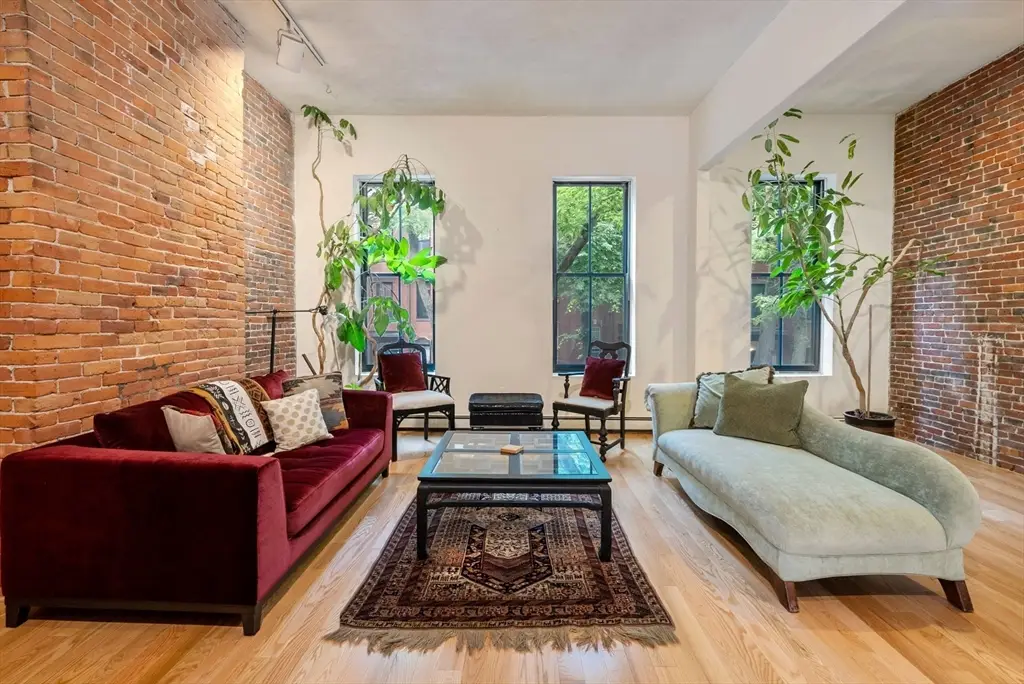 50 E Springfield St #2, Boston, MA 02118 - #1