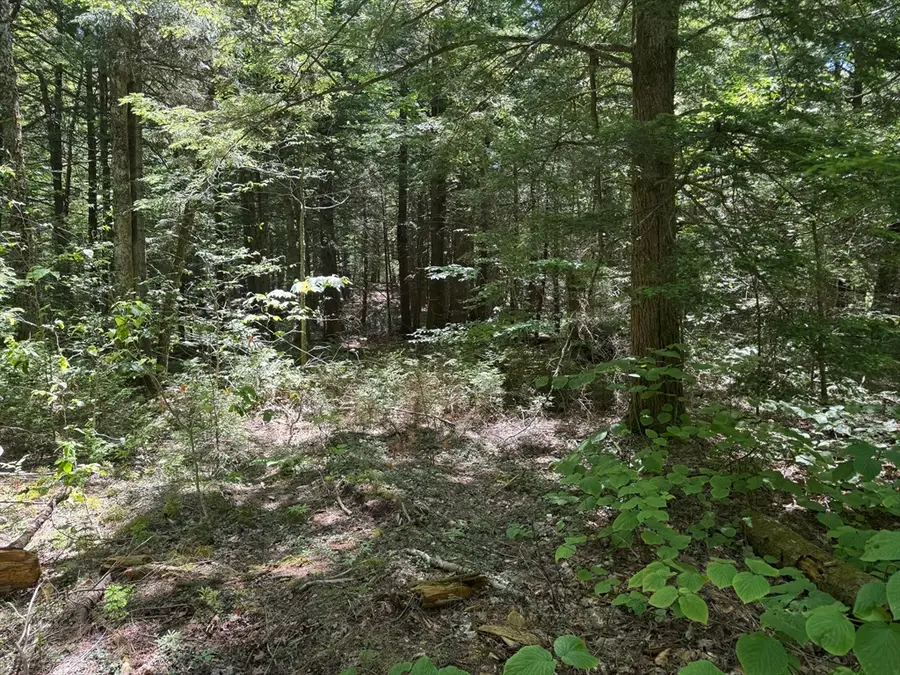 0 Old Stage Rd, Ashfield, MA 01330 - #2