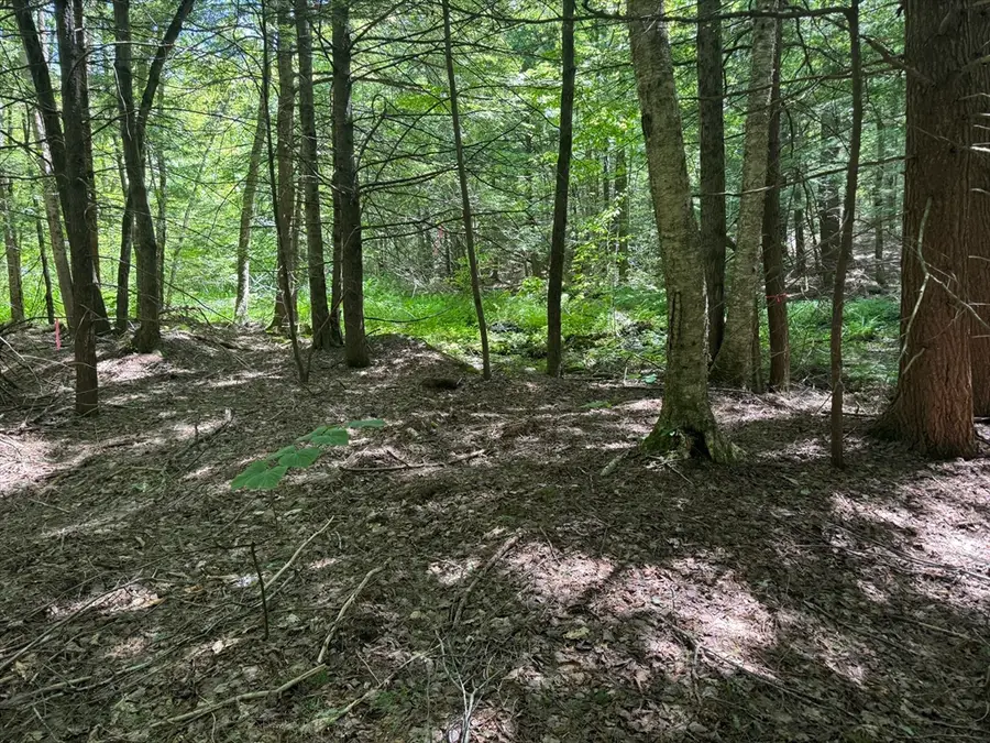 0 Old Stage Rd, Ashfield, MA 01330 - #3