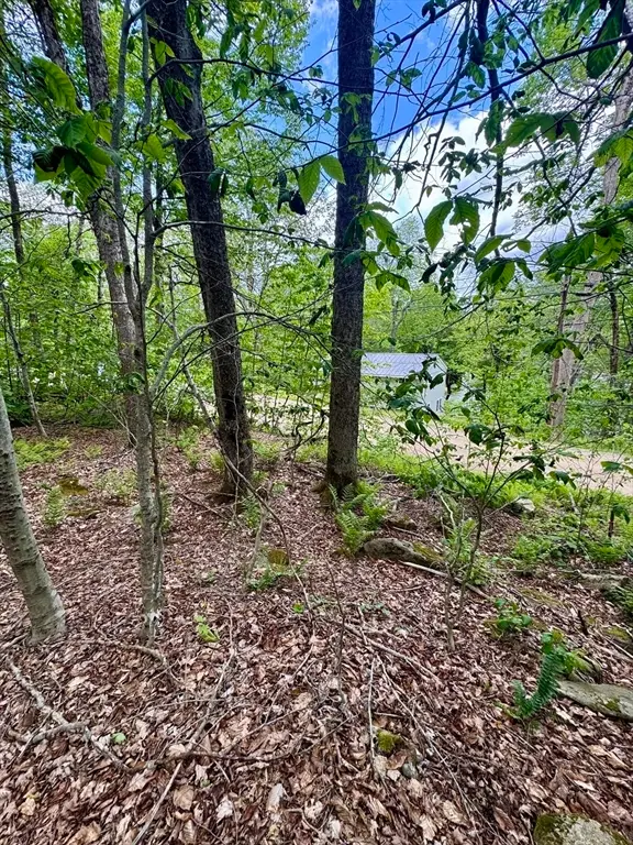 Lot 273 King Richard Dr, Becket, MA 01223 - #1