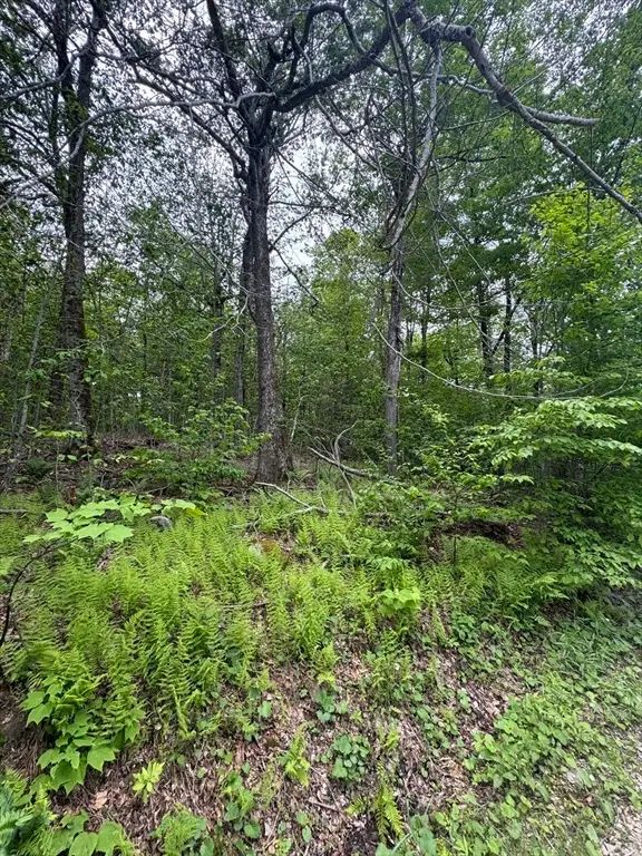 Lot 273 King Richard Dr, Becket, MA 01223 - #2