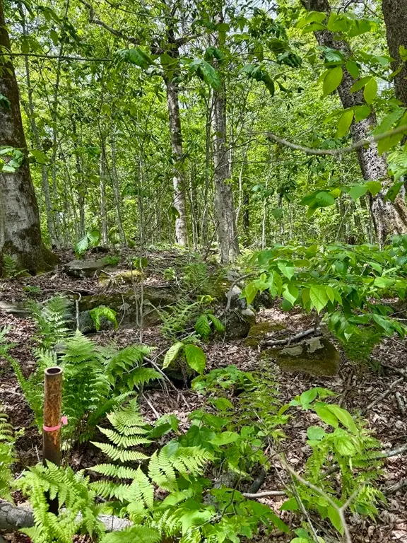 Lot 273 King Richard Dr, Becket, MA 01223 - #3