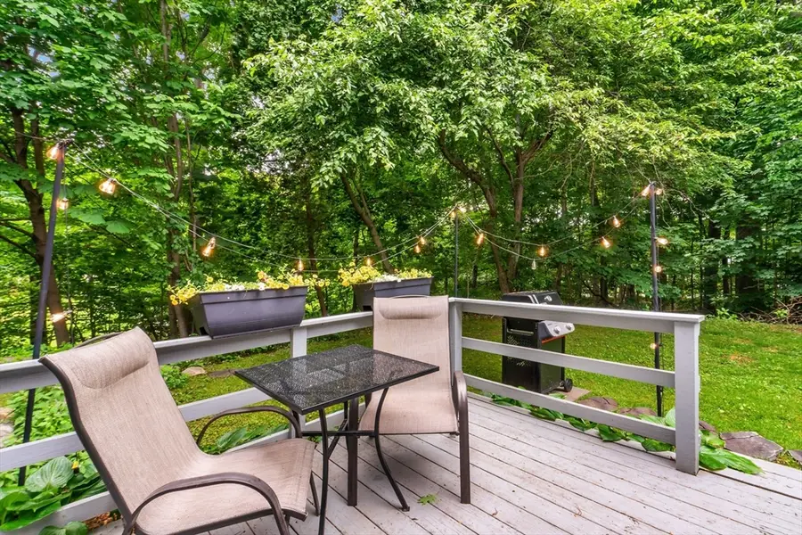 22 Potter Ave #1, Plainville, MA 02762 - #3