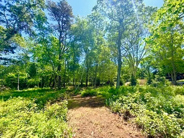 52 Heath Hen Ln., Tisbury, MA 02568 - #1