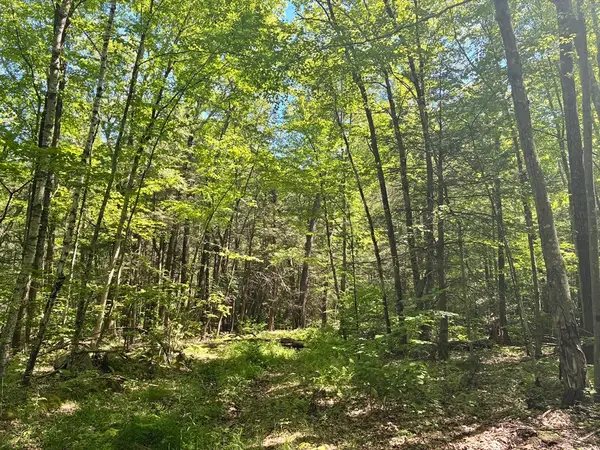 0 Summit St, Belchertown, MA 01007