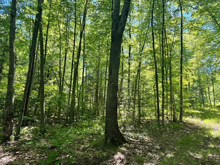 0 Summit St, Belchertown, MA 01007 - #2