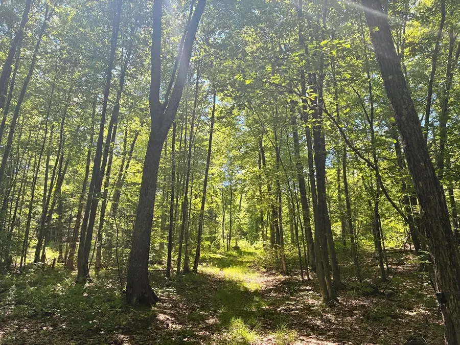 0 Summit St, Belchertown, MA 01007 - #3