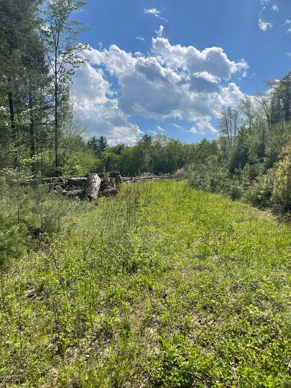 1282 Burt Hill Rd, Tolland, MA 01034 - #2