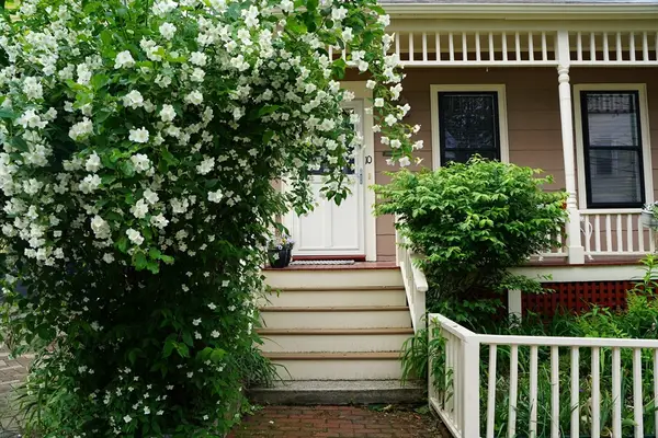 10 Mountain Ave, Somerville, MA 02143