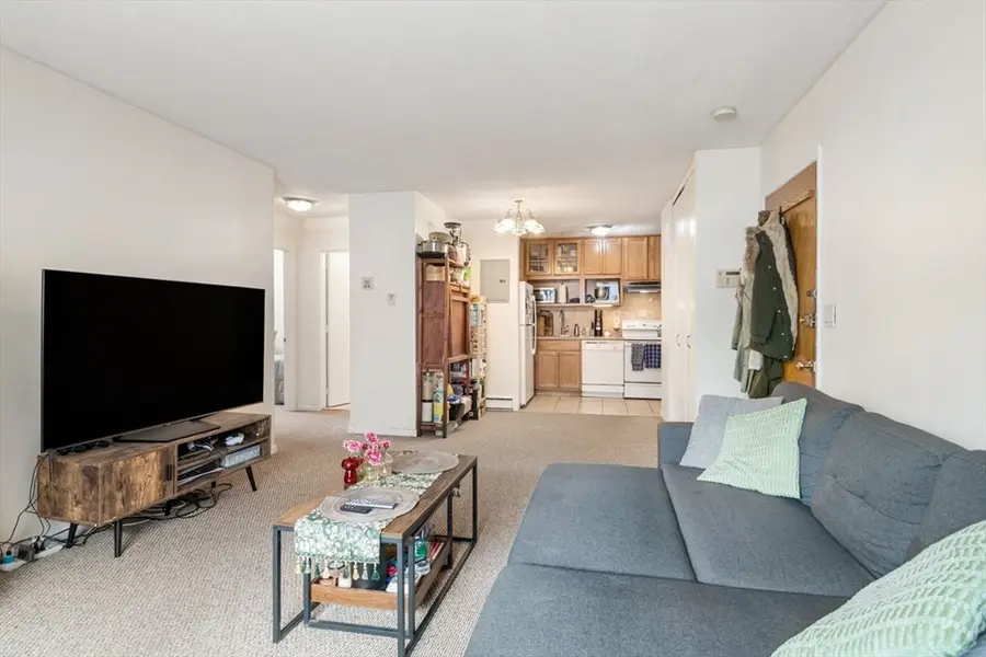 2 Larose Pl #10, Boston, MA 02135 - #3