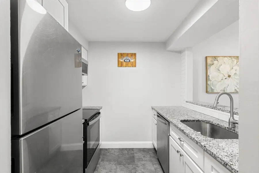 59-69 Msgr Patrick J Lydon Way #201, Boston, MA 02124 - #3
