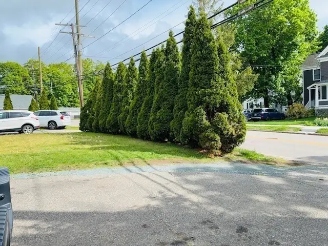 264 Stone St, Walpole, MA 02081 - #3