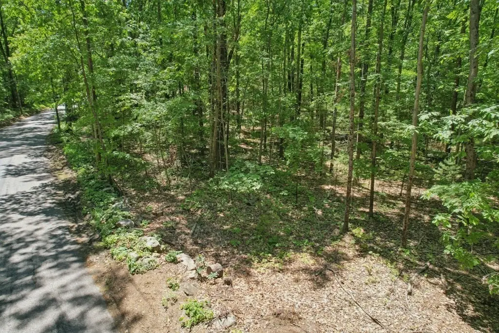 103 Green Street, Northborough, MA 01532 - #1