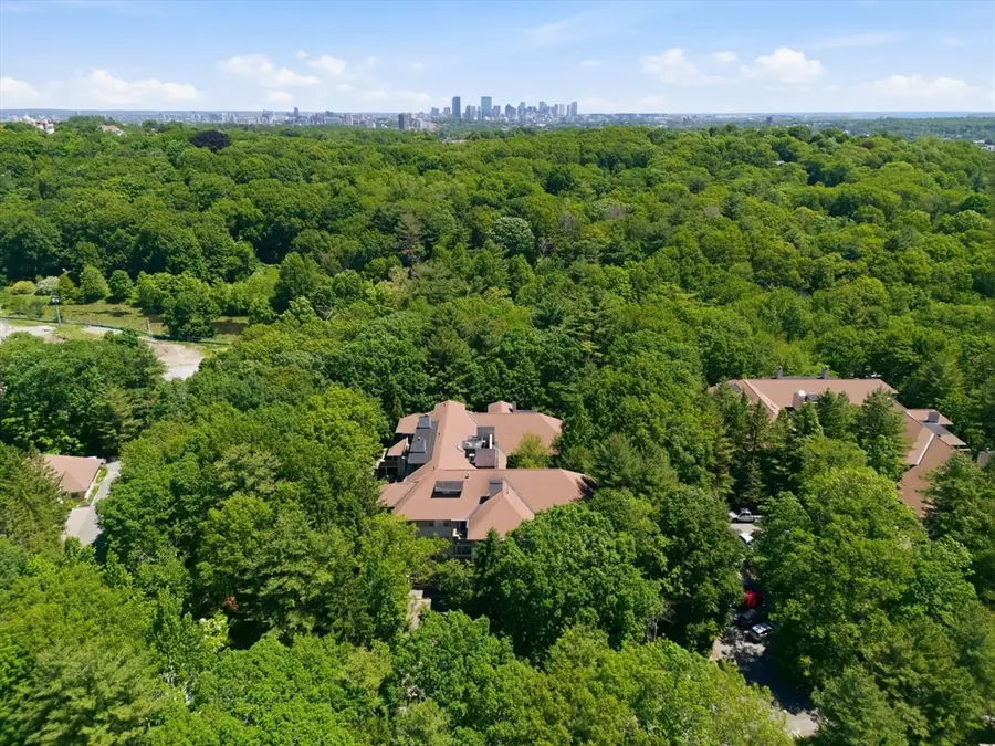 232 Allandale Rd #3A, Chestnut Hill, MA 02467 - #2