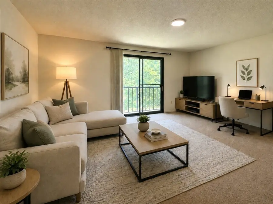 25 Village Rock Ln #12, Natick, MA 01760 - #2