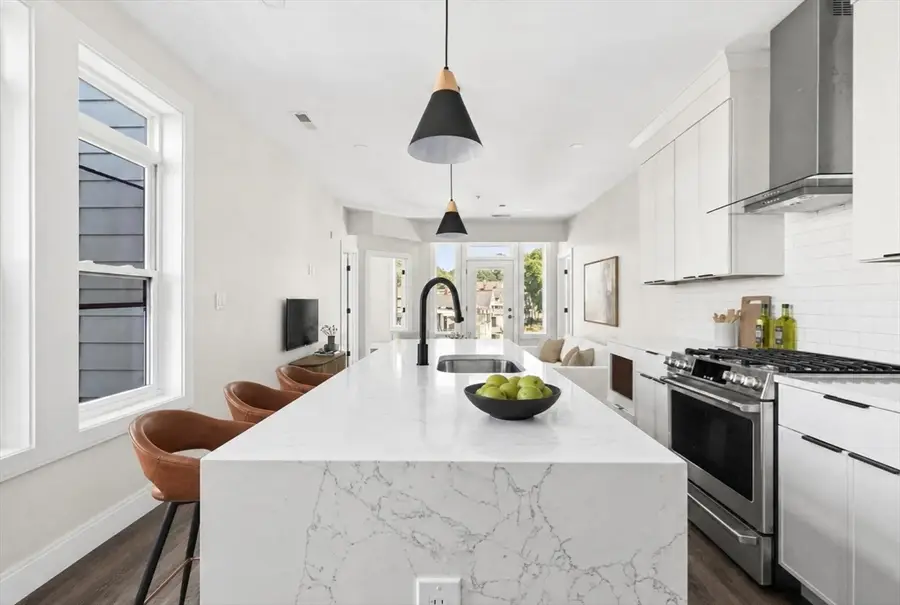 2 Weld Hill Street #203, Boston, MA 02130 - #3