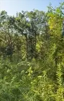 0 Berry Corner Ln, Carlisle, MA 01741 - #1