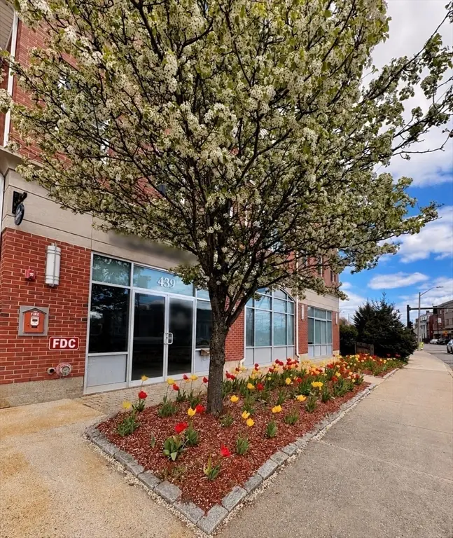 441 Washington St #203, Dedham, MA 02026 - #1