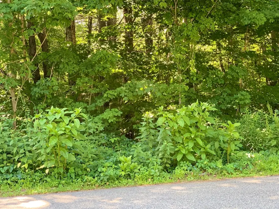Lot 16 Reed Street, Warren, MA 01092 - #2