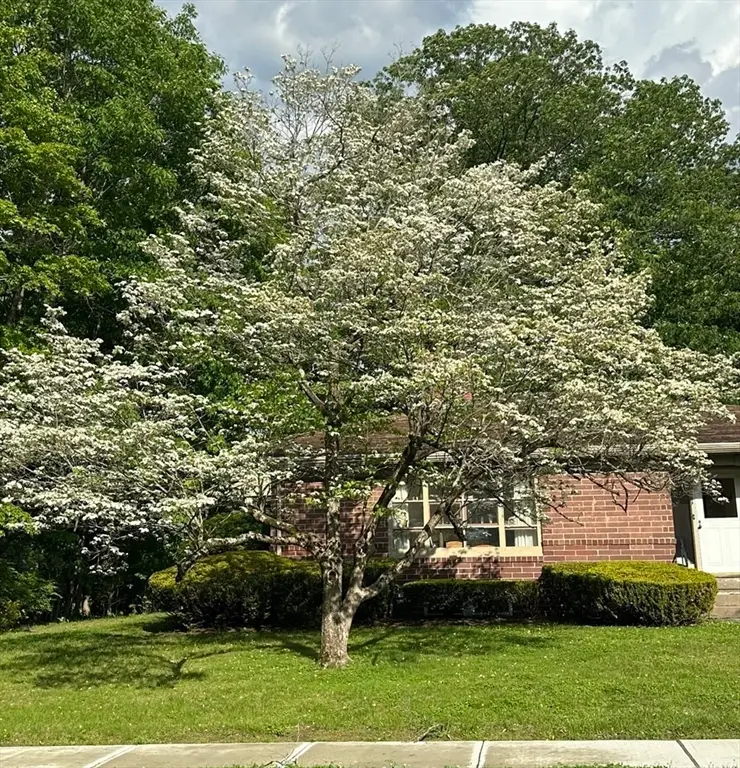 31 Lowell Ave, Westfield, MA 01085 - #3