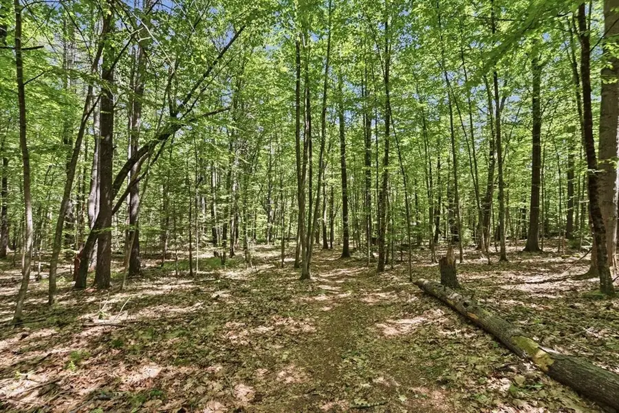 0 Carter Pond Road, Petersham, MA 01366 - #3