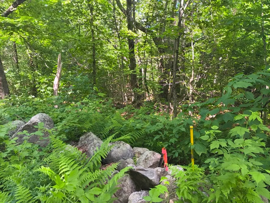 lot 2 Holcomb Road, Chester, MA 01011 - #2