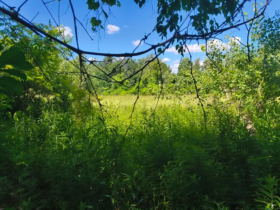 lot 3 Holcomb Road, Chester, MA 01011 - #3