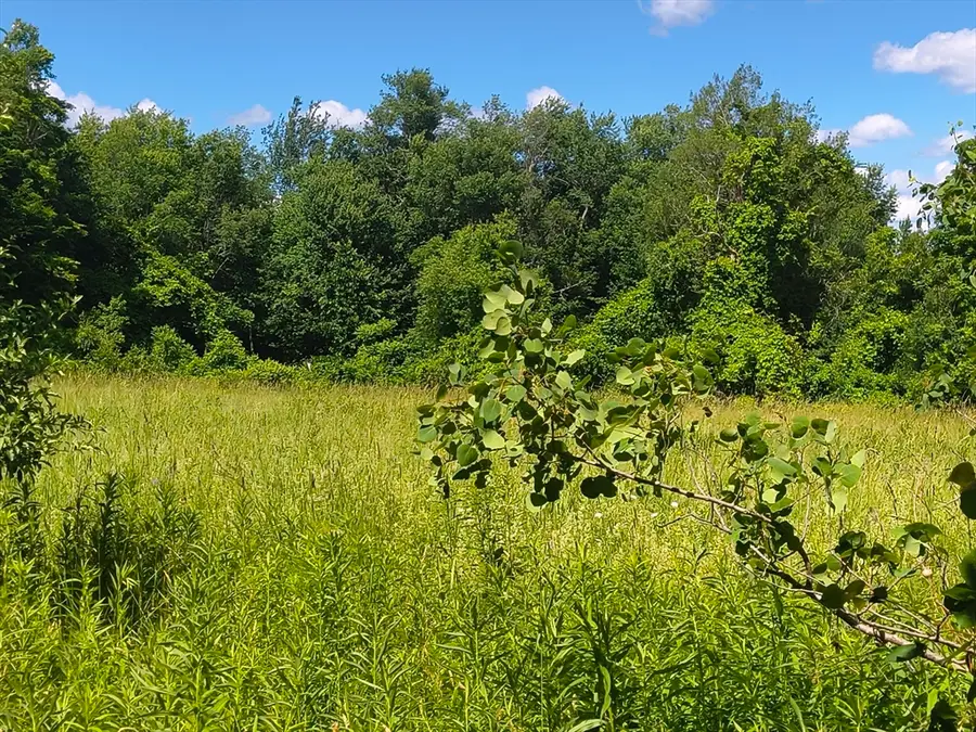 lot 4 Holcomb Road, Chester, MA 01011 - #2