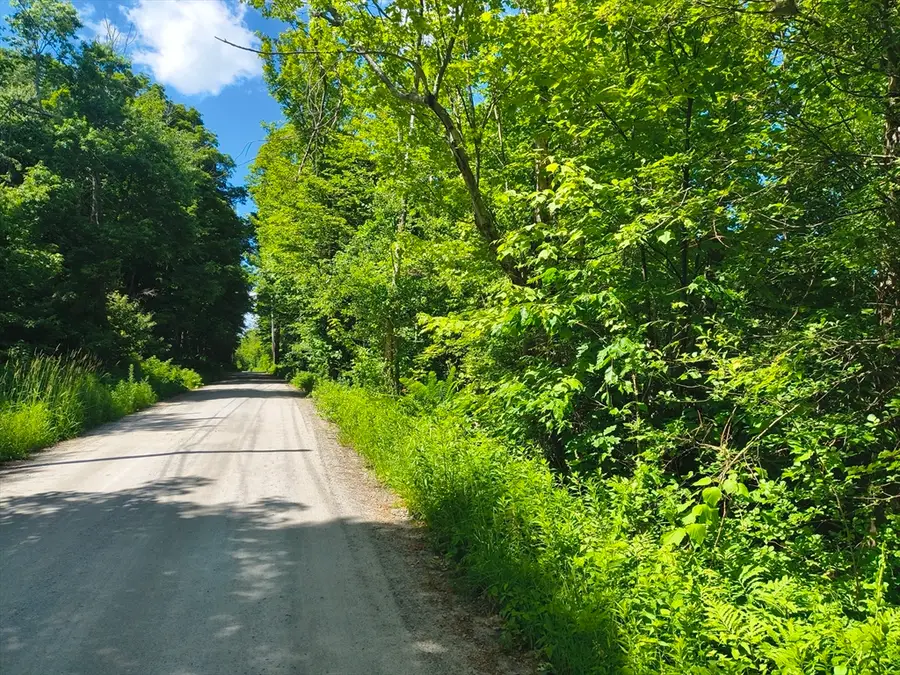 lot 4 Holcomb Road, Chester, MA 01011 - #3