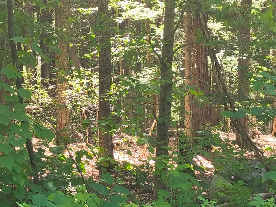lot 9-11 Skyline, Chester, MA 01011 - #3
