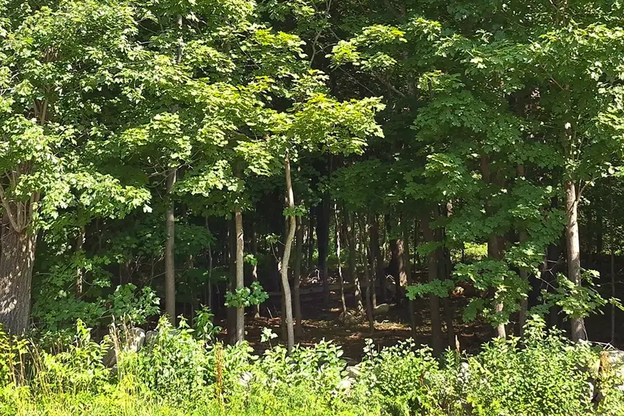 125 Topsfield Rd, Ipswich, MA 01938 - #2
