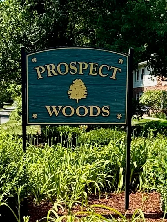 162 Prospect Ave #7, Northampton, MA 01060