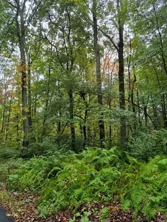 0 Blackmer Rd, Southbridge, MA 01550