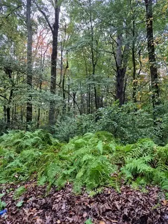 0 Blackmer Rd, Southbridge, MA 01550 - #2