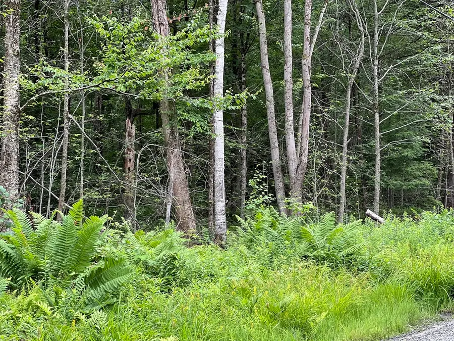 Lot 19 Becket Rd, Middlefield, MA 01243 - #3