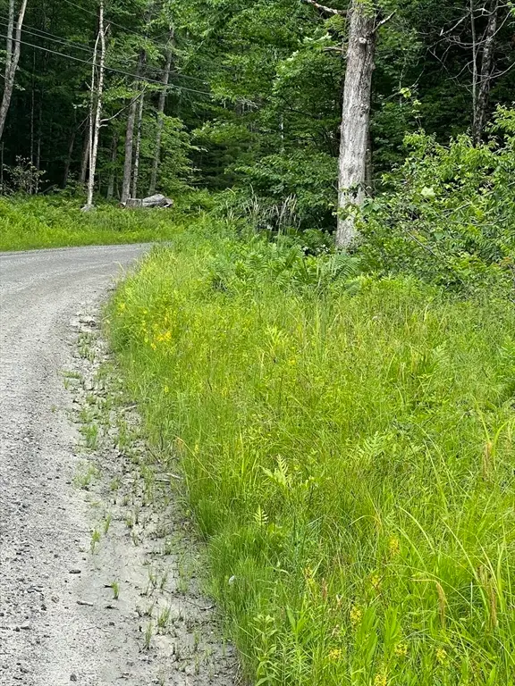 Lot 21 Becket Rd, Middlefield, MA 01243 - #3