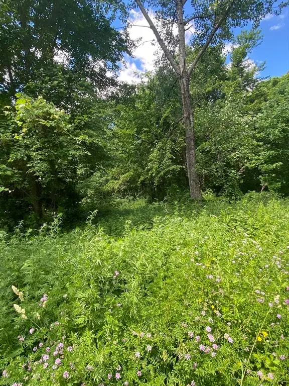 Lot 27C Pennie Lane, Stow, MA 01775