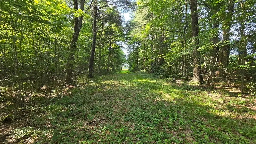 360 Grove St, Paxton, MA 01612 - #1