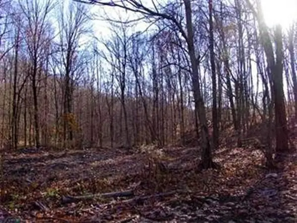 480 Mountain Road, Wilbraham, MA 01095 - #2