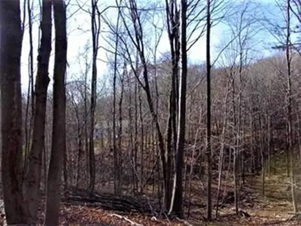 480 Mountain Road, Wilbraham, MA 01095 - #3