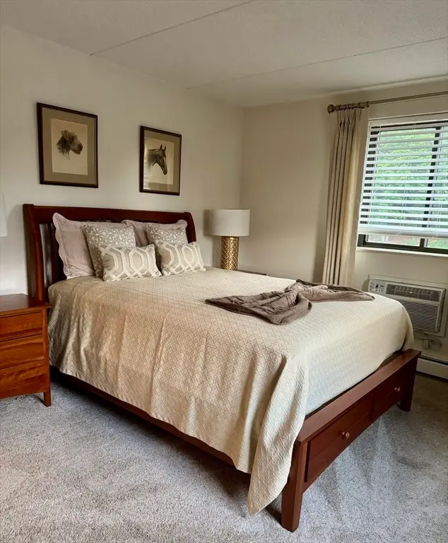 80 N Warren St #9, Woburn, MA 01801 - #3