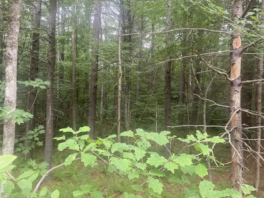 132 Crooked Ledge Rd, Southampton, MA 01073 - #3