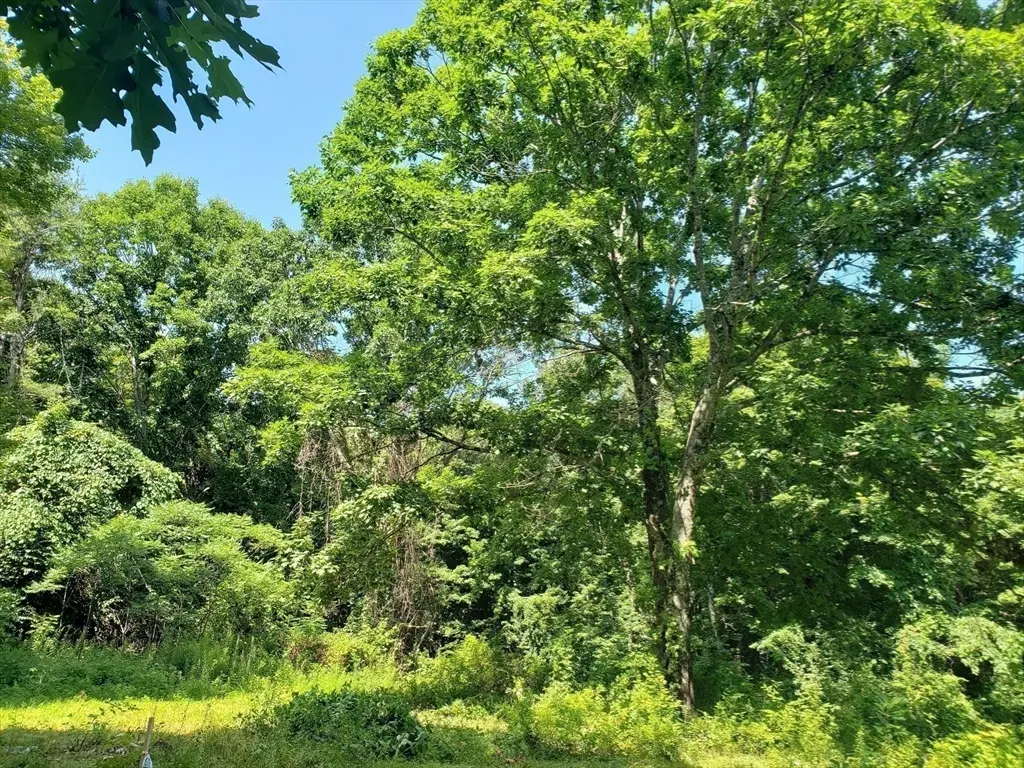 40 Harlow Clark Rd, Huntington, MA 01050 - #1