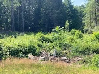Lot 83 Segur Lane, Belchertown, MA 01007