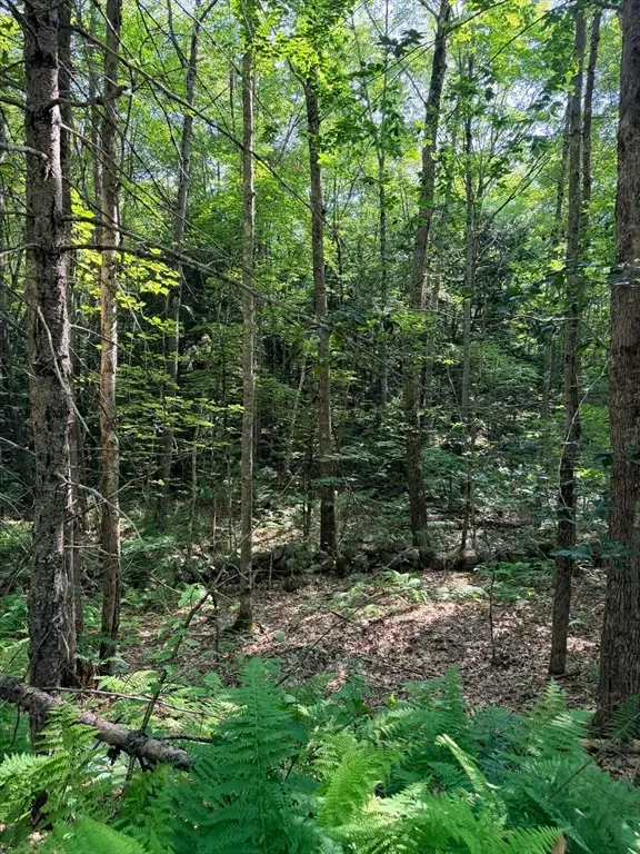 Lot 10A Bush Hill Road, Ashburnham, MA 01430 - #2