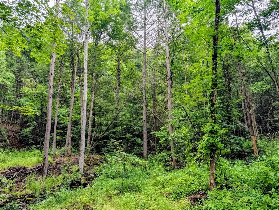18 Pond Brook Road, Huntington, MA 01050 - #2
