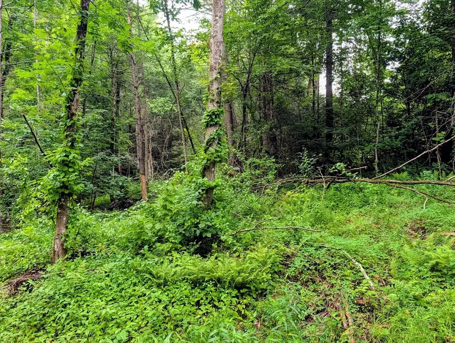18 Pond Brook Road, Huntington, MA 01050 - #3