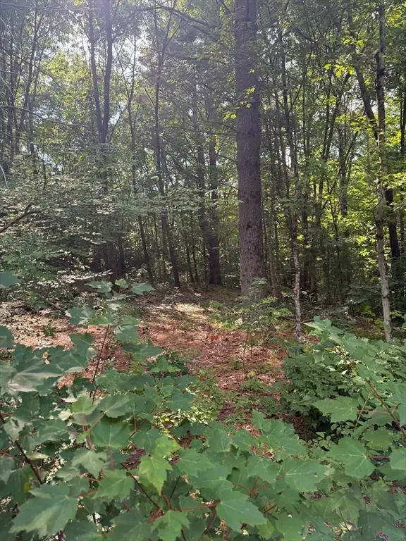 291 Warren Rd, Brimfield, MA 01010 - #3