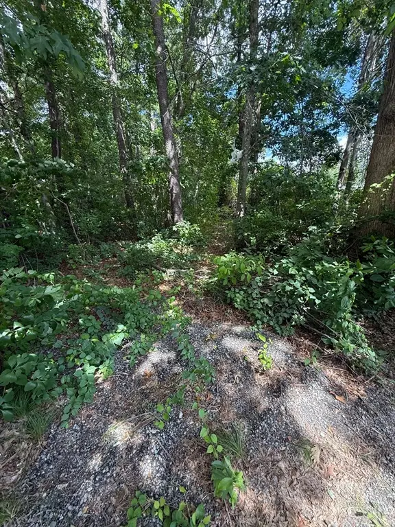 12 Taft St, Wareham, MA 02571 - #3