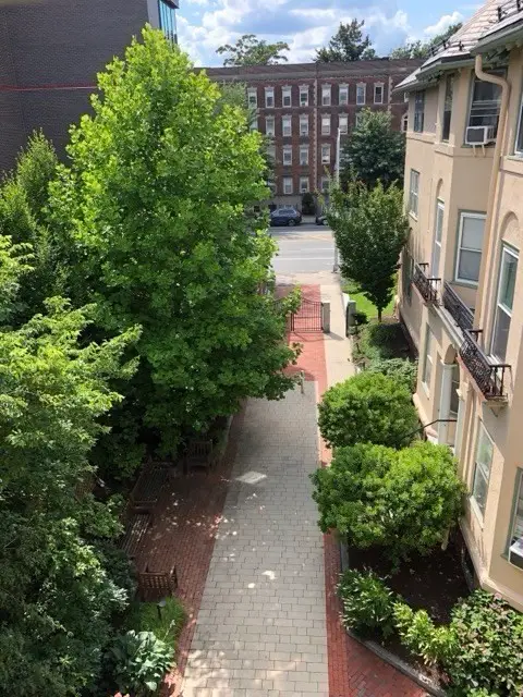 1619 Massachusetts Ave #36, Cambridge, MA 02138 - #1